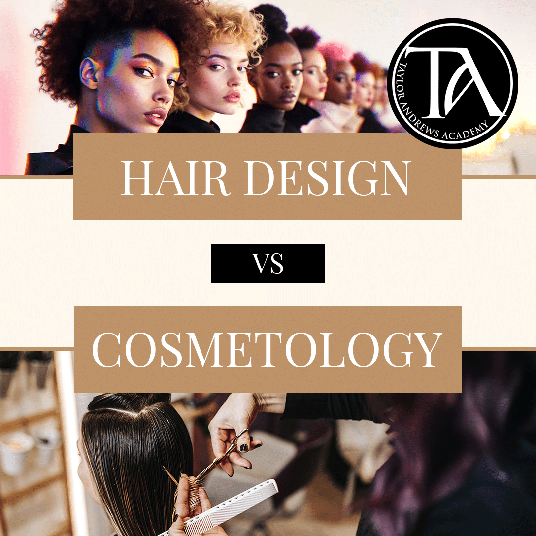 hair design vs cosmetology